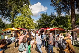 Eerste editie Bosfestival Almera groot succes