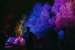 Alluminous Lichtkunstfestival viert vijfde editie tijdens 50 jaar Almere