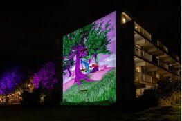 Alluminous opent vijfde editie:
tien avonden vol licht, kunst, technologie en ontmoeting rond het Weerwater