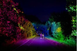 Alluminous opent vijfde editie:
tien avonden vol licht, kunst, technologie en ontmoeting rond het Weerwater