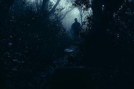 Halloween Spookwandeling: Lekker griezelen in het bos