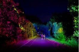Vijfde Alluminous Lichtkunstfestival trekt ruim 75.000 bezoekers tijdens geslaagde jubileumeditie