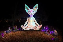 Vijfde Alluminous Lichtkunstfestival trekt ruim 75.000 bezoekers tijdens geslaagde jubileumeditie