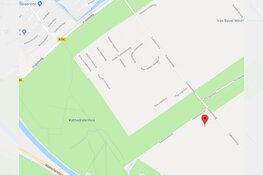 Boomfeestdag in Almere