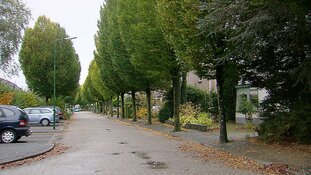 Almere - Gezocht - Moord op Ali Motamed in de Hendrik Marsmanstraat