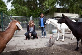 Lentefeesten op Kinderboerderij de Beestenbende