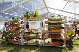 Ontdek alles wat groeit en bloeit tijdens het Floriadefestival