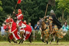 Paardenshow op de Kemphaan