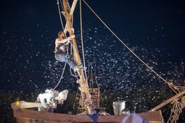 Theater en Muziek Festival in Almere Centrum