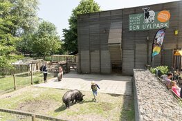 Vier dierendag op de kinderboerderijen van Stad & Natuur!