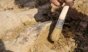 De historie van Almere staat centraal tijdens de Nationale Archeologiedagen 2018