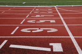 Almeerders steeds sportiever