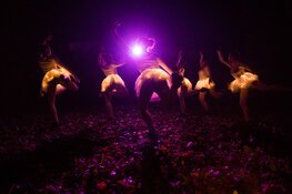 Duik in het diepe tijdens de Nacht van de Nacht op de Kemphaan