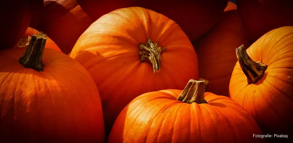 8x spannende activiteiten met Halloween
